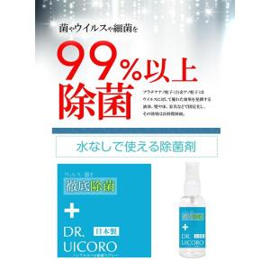 在庫限り!※12個までゆうパケット送料250円...の詳細画像2
