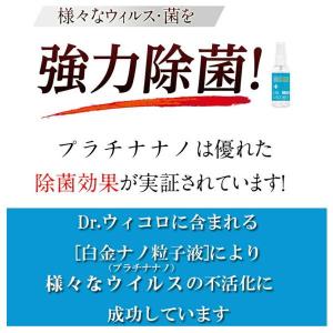 在庫限り!※12個までゆうパケット送料250円...の詳細画像3