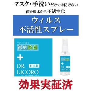 在庫限り!※12個までゆうパケット送料250円...の詳細画像5