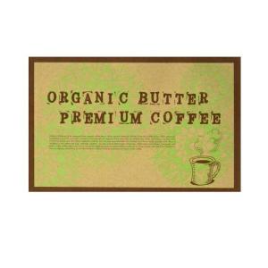 シルクフィブロインプレミアム 2個セット 10%OFFクーポン付＆ポイント15倍｜セラム シルクフィブロイン（30包