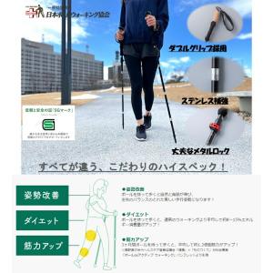 マリン商事 折りたたみウォーキングポール 2本...の詳細画像2