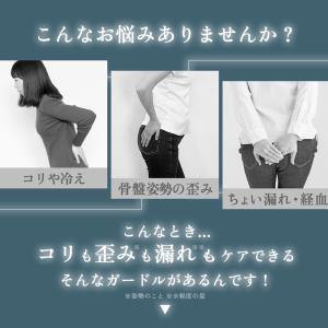 爆買 healogy リカバリーガードル 補正...の詳細画像3