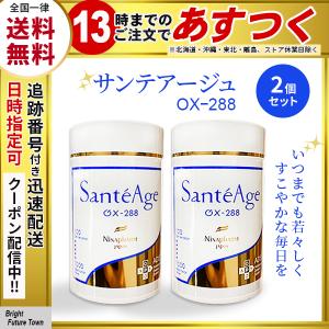 ニナファーム サンテアージュOX-288ゼウス2023 3本セット