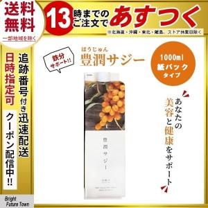 豊潤サジー サジージュース ドリンク 鉄分 1000ml 紙パックタイプ｜healt-supprt