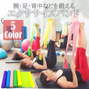 トレーニングチューブ エクササイズバンド 筋トレ ゴム