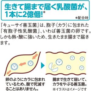キューサイ 善玉菌 14本入5袋購入でもう2袋...の詳細画像3