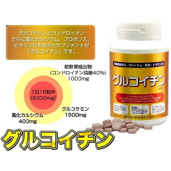 ≪節々の悩みに≫「グルコイチン〈錠剤〉」480粒　まとめて5箱　送料無料