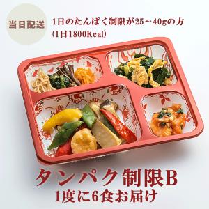 MFS タンパク制限食B お試し6食セット 腎臓病食 透析