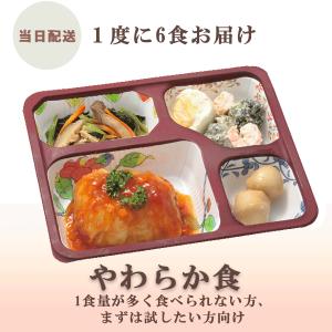 MFS やわらか食 お試し6食セット 介護食 歯茎でつぶせる