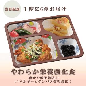 1回のみ MFS 介護食 やわらか栄養強化食 14食|やわらか 冷凍おかず