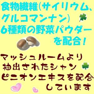 ラクシュミ ラブレファイバー顆粒 60スティッ...の詳細画像2