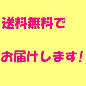 ラクシュミ ラブレファイバー顆粒 60スティッ...の詳細画像3