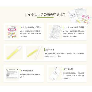 ヘルスケアシステムズ エクオール検査 ソイチェ...の詳細画像1