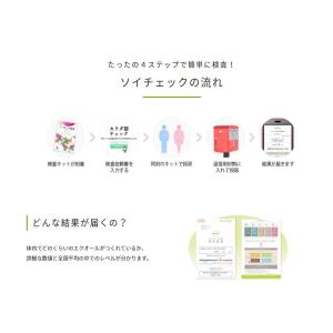 ヘルスケアシステムズ エクオール検査 ソイチェ...の詳細画像2