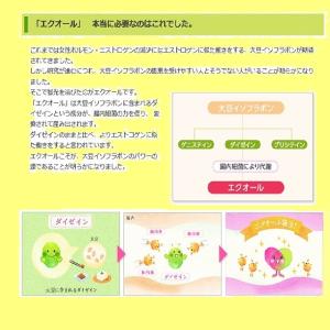エクエル 112粒入 ボトル 1個 エクオール...の詳細画像3