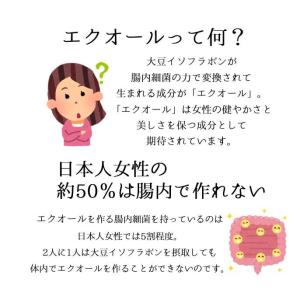 エクエル 120粒入 パウチ エクオール 大塚...の詳細画像2