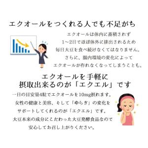 エクエル 120粒入 3個セット パウチ エク...の詳細画像3