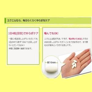 エクエル 120粒入 パウチ 6個セット エク...の詳細画像1