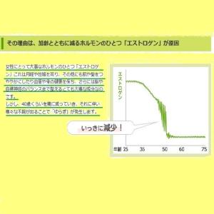 エクエル 120粒入 パウチ 6個セット エク...の詳細画像2