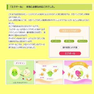 エクエル 120粒入 パウチ 6個セット エク...の詳細画像3