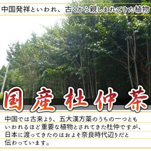 国産 杜仲茶 3g×30pc 無農薬 メール便...の詳細画像3