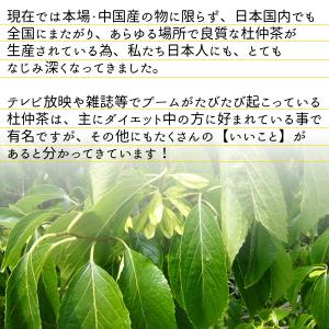 国産 杜仲茶 3g×30pc 無農薬 メール便...の詳細画像4