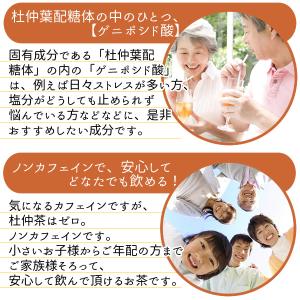 国産 杜仲茶 3g×30pc 無農薬 メール便...の詳細画像5