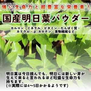 国産 明日葉 パウダー80g 粉末 サプリ 青...の詳細画像3