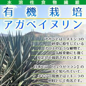アガベイヌリン(水溶性食物繊維)500g 有機...の詳細画像3