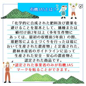 アガベイヌリン(水溶性食物繊維)500g 有機...の詳細画像5