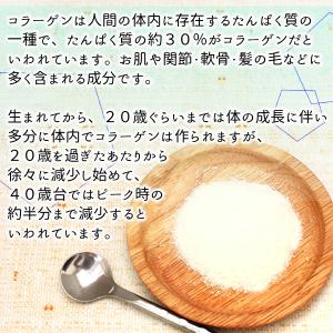 超低分子おさかなコラーゲン(フィッシュコラーゲ...の詳細画像4
