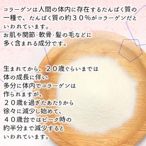 コラーゲン200g コラーゲンペプチド粉末10...の詳細画像4