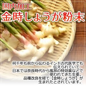 国内加工 金時しょうがパウダー100g 金時生...の詳細画像3