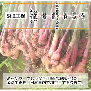国内加工 金時しょうがパウダー100g 金時生...の詳細画像5