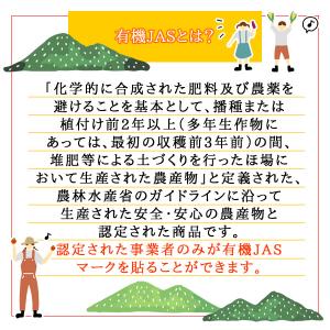 ルイボスティー オーガニック 有機栽培 ティー...の詳細画像5