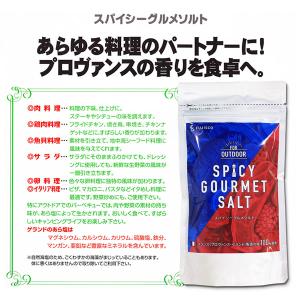 スパイシーグルメソルト200g ゲランドプロヴ...の詳細画像4