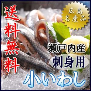 「瀬戸内産小いわし」刺身４０ｇ×６ｐｃ 送料無料