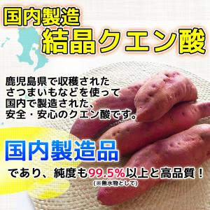 国内製造 クエン酸 結晶 800g 食品添加物...の詳細画像3