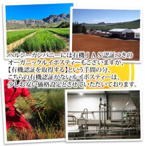 ルイボスティー5g×50包 メール便 送料無料の詳細画像5