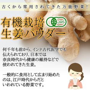 オーガニック 生姜 パウダー100g 有機栽培...の詳細画像3