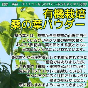 国産 桑の葉パウダー 100g 桑の葉青汁 桑...の詳細画像3