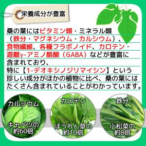 国産 桑の葉パウダー 100g 桑の葉青汁 桑...の詳細画像4
