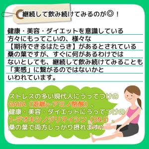 国産 桑の葉パウダー 100g 桑の葉青汁 桑...の詳細画像5