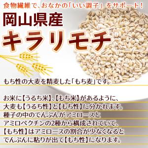 令和8年産 岡山県産 キラリモチ( 国産 もち...の詳細画像3