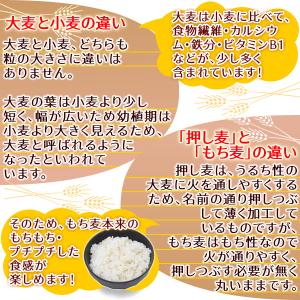 令和8年産 岡山県産 キラリモチ( 国産 もち...の詳細画像4