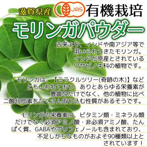 滋賀県産 有機 モリンガパウダー100g (粉...の詳細画像3