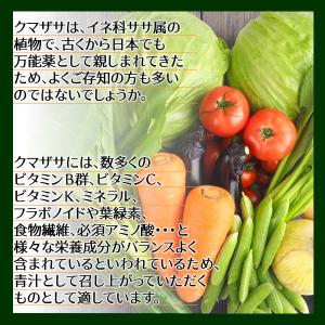 兵庫県産 クマザサパウダー100g 熊笹 熊笹...の詳細画像4