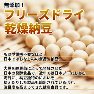 乾燥納豆250g フリーズドライ納豆 メール便...の詳細画像3