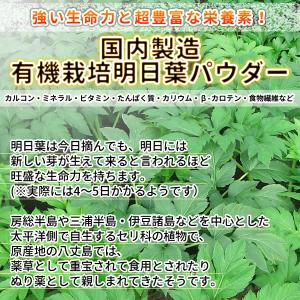 有機 明日葉パウダー80g (オーガニック 粉...の詳細画像3