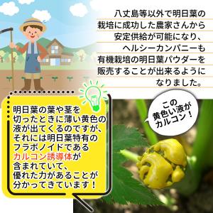 有機 明日葉パウダー80g (オーガニック 粉...の詳細画像4